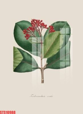 File tranh Tranh sơn dầu phương tây tổng hợp STS10988 (ảnh gốc) cho in ấn kỹ thuật số