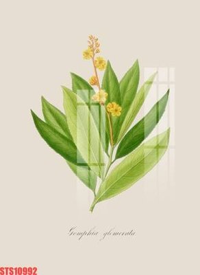 File gốc Tranh sơn dầu phương tây tổng hợp STS10992 (in mica) trang trí