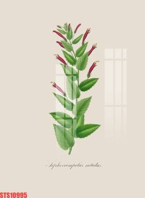 File in mica Tranh sơn dầu phương tây tổng hợp STS10995 (bản gốc) làm vách ngăn