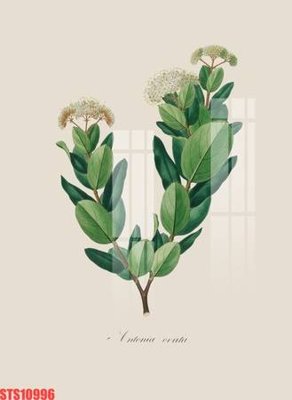 Tệp tin gốc Tranh sơn dầu phương tây tổng hợp STS10996 (chất lượng cao) Tranh sơn dầu phương tây tổng hợp STS10996