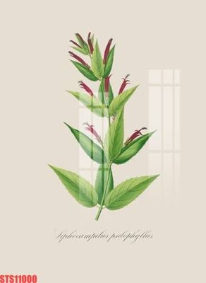 Tải về file gốc Tranh sơn dầu phương tây tổng hợp STS11000 (dùng cho in quảng cáo)