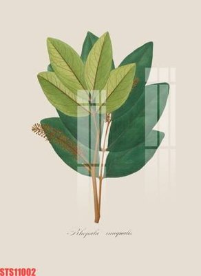 File in trần Tranh sơn dầu phương tây tổng hợp STS11002 (file gốc) xuyên sáng