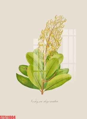 Download file gốc Tranh sơn dầu phương tây tổng hợp STS11004 (in mica) 3D