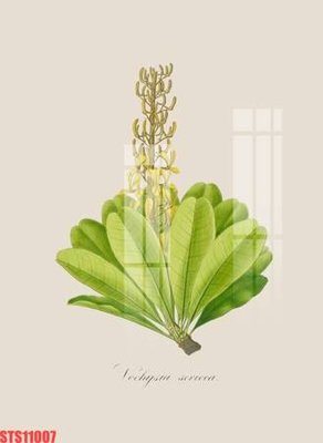 File gốc Tranh sơn dầu phương tây tổng hợp STS11007 (in ấn) màu sắc trung thực