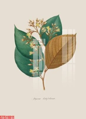 Cung cấp file tranh gốc Tranh sơn dầu phương tây tổng hợp STS11011 độc quyền