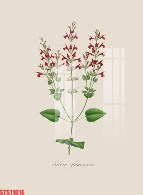 File in trần Tranh sơn dầu phương tây tổng hợp STS11016 (bản gốc) mây trời