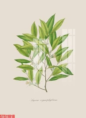 Tải file gốc Tranh sơn dầu phương tây tổng hợp STS11018 dùng cho in ấn