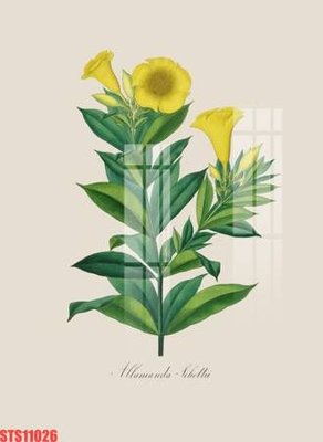 File ảnh Tranh sơn dầu phương tây tổng hợp STS11026 (gốc) cho trang trí nội thất