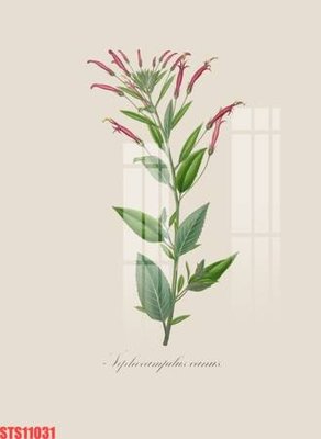 File tranh Tranh sơn dầu phương tây tổng hợp STS11031 (gốc) in film