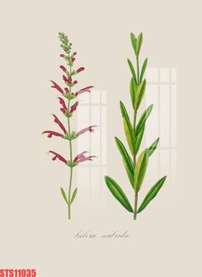 File tranh PSD Tranh sơn dầu phương tây tổng hợp STS11035 chất lượng cao