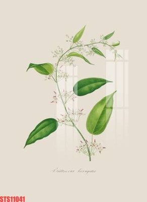 File tranh Tranh sơn dầu phương tây tổng hợp STS11041 (gốc) chủ đề con người