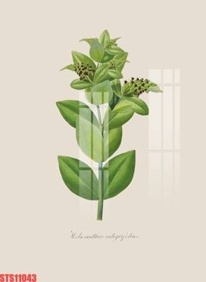 Download file Tranh sơn dầu phương tây tổng hợp STS11043 (gốc) cho xưởng in