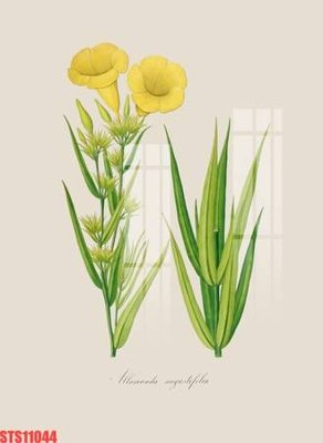 File tranh in trần 3D Tranh sơn dầu phương tây tổng hợp STS11044 (ảnh gốc)