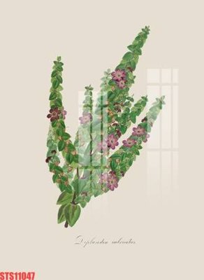 Tải file Tranh sơn dầu phương tây tổng hợp STS11047 (ảnh gốc) file TIFF