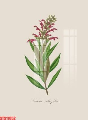 Download file gốc Tranh sơn dầu phương tây tổng hợp STS11052 (in lụa) nghệ thuật