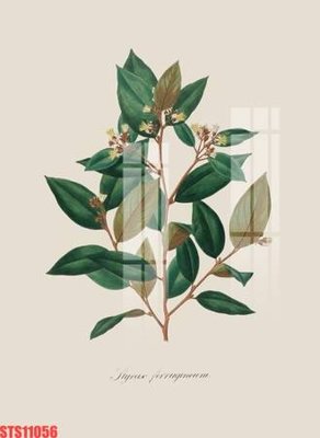 File gốc in ấn Tranh sơn dầu phương tây tổng hợp STS11056 chất lượng vượt trội