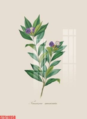 File tranh gốc PSD Tranh sơn dầu phương tây tổng hợp STS11058 còn nguyên layer