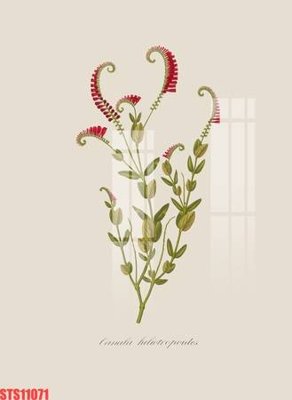 Ảnh gốc Tranh sơn dầu phương tây tổng hợp STS11071 (nét căng) in mica