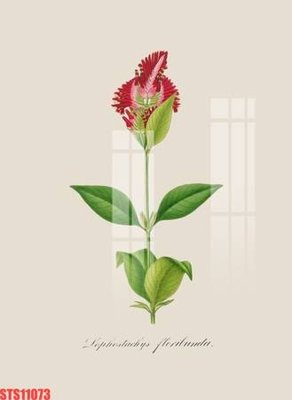 File gốc in ấn Tranh sơn dầu phương tây tổng hợp STS11073 độ phân giải cao