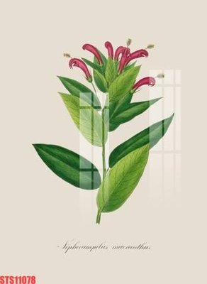 Tệp tin gốc Tranh sơn dầu phương tây tổng hợp STS11078 (chất lượng cao) Tranh sơn dầu phương tây tổng hợp STS11078