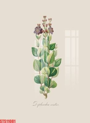 File gốc Tranh sơn dầu phương tây tổng hợp STS11081 (trang trí) phòng ngủ