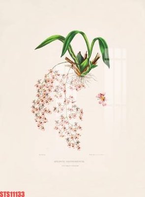 File tranh Tranh sơn dầu phương tây tổng hợp STS11133 (gốc) chủ đề trẻ em