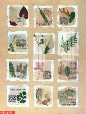 File PSD Tranh sơn dầu phương tây tổng hợp STS11209 (bản gốc) độ phân giải cao