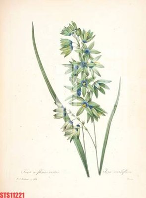 File ảnh Tranh sơn dầu phương tây tổng hợp STS11221 (gốc) cho trang trí nhà hàng