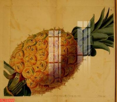 File tranh gốc in trần nhà Tranh sơn dầu phương tây tổng hợp STS11227 3D