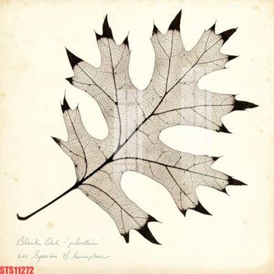 File ảnh Tranh sơn dầu phương tây tổng hợp STS11272 (gốc) cho trang trí nội thất