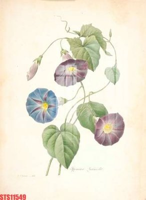 File gốc Tranh sơn dầu phương tây tổng hợp STS11549 (in 3D) cho trang trí