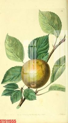 File ảnh gốc Tranh sơn dầu phương tây tổng hợp STS11555 không vỡ nét