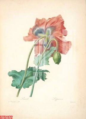 File gốc Tranh sơn dầu phương tây tổng hợp STS1172 (in mica) trang trí