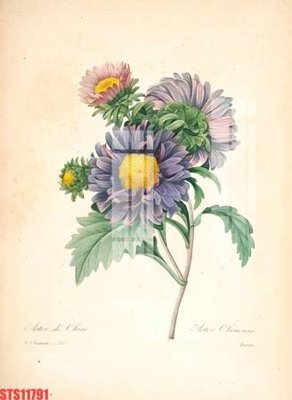 Tải file tranh Tranh sơn dầu phương tây tổng hợp STS11791 (gốc) tại Filetranh.com