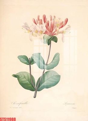 Tải file Tranh sơn dầu phương tây tổng hợp STS11988 (gốc) chủ đề tôn giáo