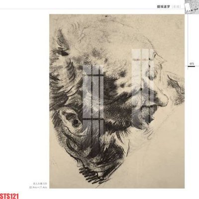 File in lụa Tranh sơn dầu phương tây tổng hợp STS121 (hoa văn) Tranh sơn dầu phương tây tổng hợp STS121