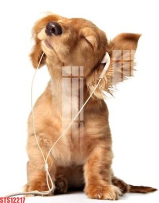 File gốc Tranh sơn dầu phương tây tổng hợp STS12217 (in ấn) màu sắc trung thực