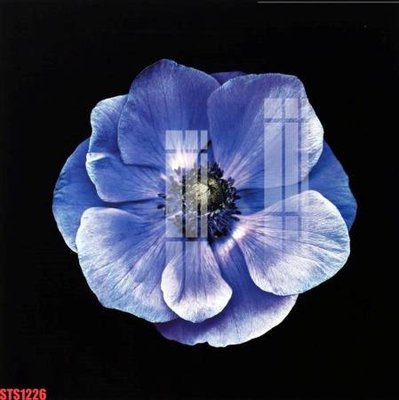 File gốc Tranh sơn dầu phương tây tổng hợp STS1226 (in mica) làm bảng hiệu