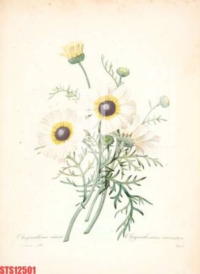 File in trần Tranh sơn dầu phương tây tổng hợp STS12501 (file gốc) chủ đề vũ trụ