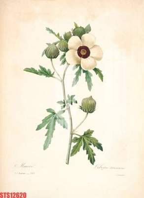 Download file gốc Tranh sơn dầu phương tây tổng hợp STS12620 (in mica) logo