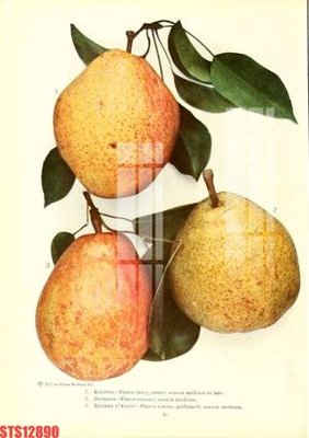 Tệp tin gốc Tranh sơn dầu phương tây tổng hợp STS12890 (dùng cho in) Tranh sơn dầu phương tây tổng hợp STS12890