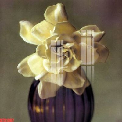 File in ấn Tranh sơn dầu phương tây tổng hợp STS1307 (bản gốc) cao cấp