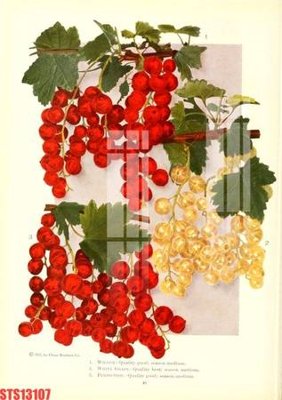 File in trần Tranh sơn dầu phương tây tổng hợp STS13107 (bản gốc) phong cảnh