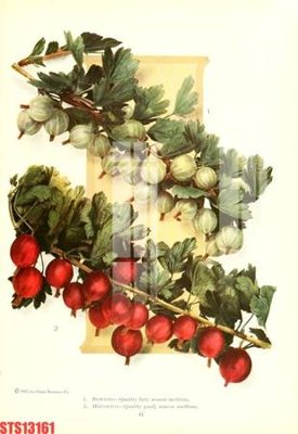 File PSD Tranh sơn dầu phương tây tổng hợp STS13161 (chất lượng in ấn)