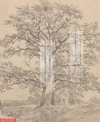 File PSD Tranh sơn dầu phương tây tổng hợp STS13238 (gốc) nhiều lớp (multi-layer)