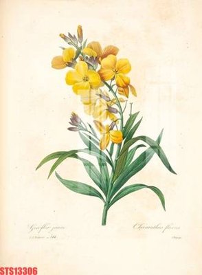 File in trần Tranh sơn dầu phương tây tổng hợp STS13306 (bản gốc) phong cảnh