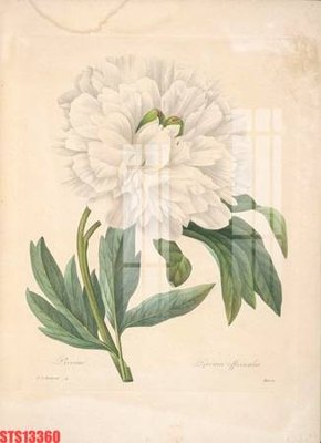 File tranh gốc Tranh sơn dầu phương tây tổng hợp STS13360 (sắc nét từng chi tiết)