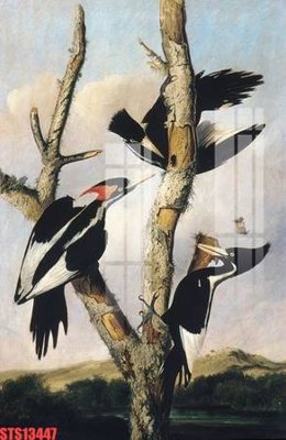 File PSD Tranh sơn dầu phương tây tổng hợp STS13447 (bản gốc) dễ dàng edit