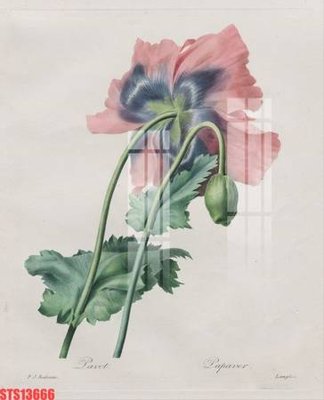 Tải file gốc Tranh sơn dầu phương tây tổng hợp STS13666 (in không vỡ ảnh)