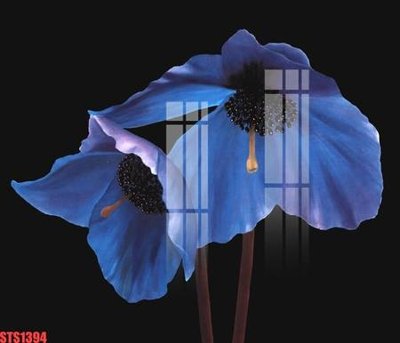 Tệp tin gốc Tranh sơn dầu phương tây tổng hợp STS1394 (dùng cho in) Tranh sơn dầu phương tây tổng hợp STS1394